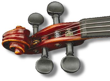 The picture of violin